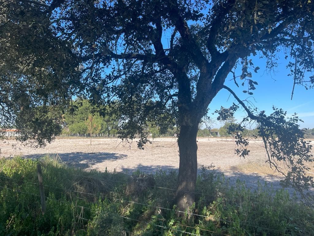 Terreno Misto 4.0 ha, Grandola - Imagem 23