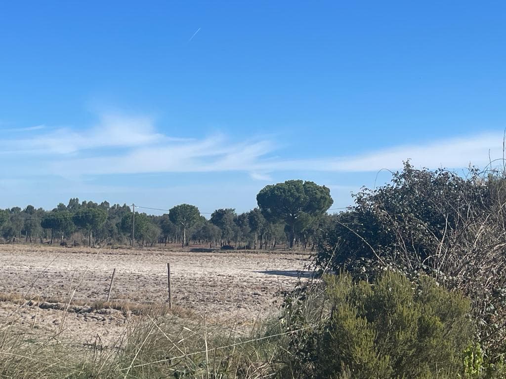 Terreno Misto 4.0 ha, Grandola - Imagem 22