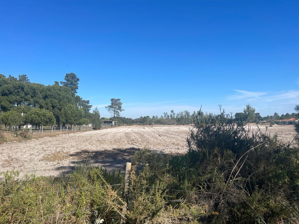 Terreno Misto 4.0 ha, Grandola - Imagem 24
