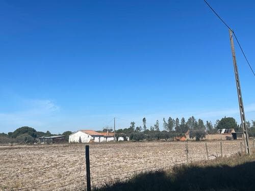 PF30144 - Terreno Misto 4.0 ha, Grandola - Imagem 18
