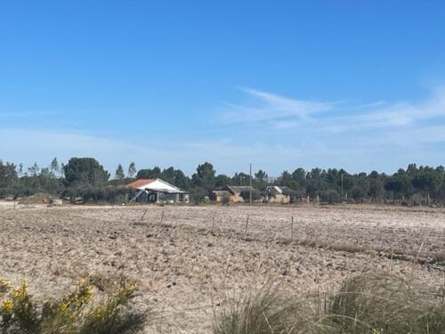 PF30144 - Terreno Misto 4.0 ha, Grandola - Imagem 14