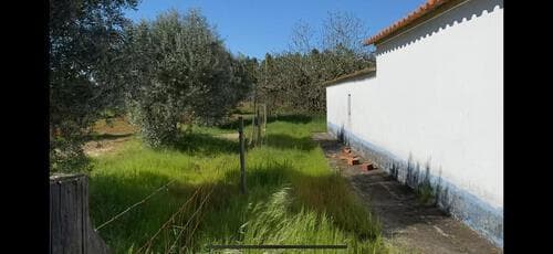 PF30144 - Terreno Misto 4.0 ha, Grandola - Imagem 10