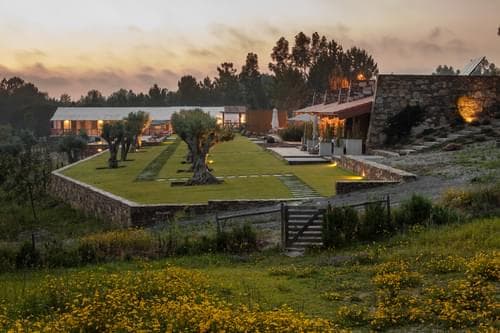PF40519 - Quinta 7.5 ha, São Teotónio, Odemira - Imagem 7