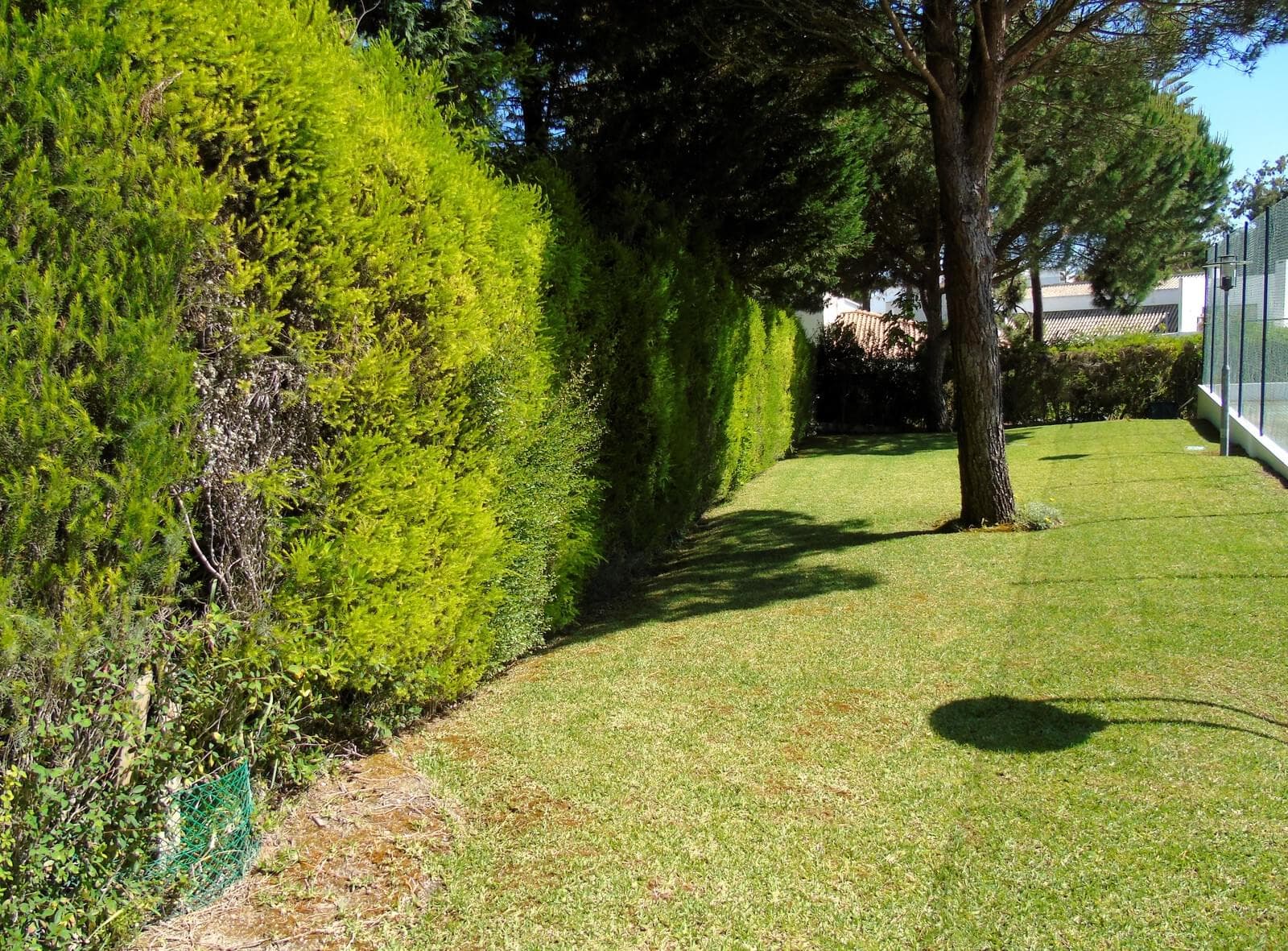 Moradia T4 com jardim, Soltroia, Grandola - Imagem 27