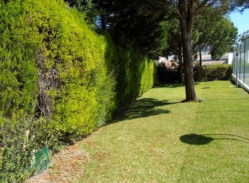 PF30598 - 4 Bedroom House with garden, Soltroia, Grandola - Image 27