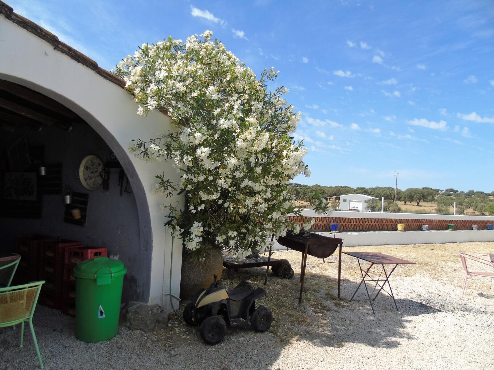 Herdade 106.0 ha, Elvas - Imagem 76