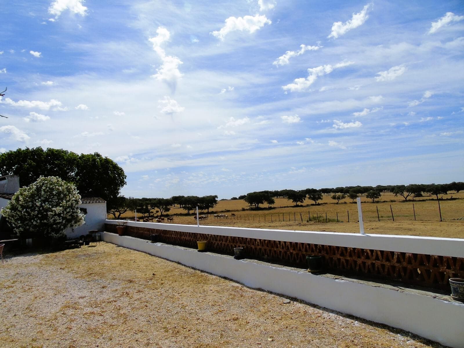 Herdade 106.0 ha, Elvas - Imagem 81