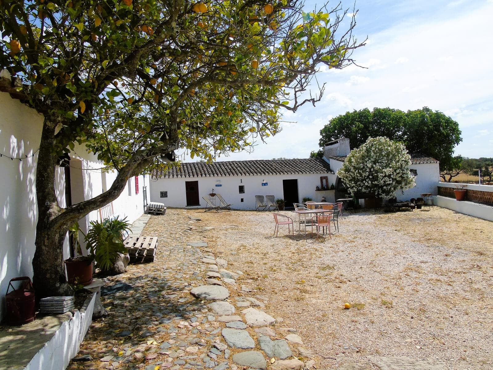 Herdade 106.0 ha, Elvas - Imagem 80