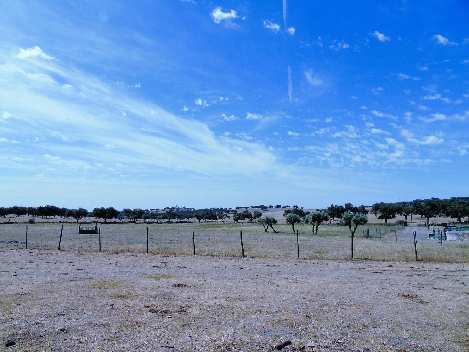 Herdade 106.0 ha, Elvas - Imagem 73