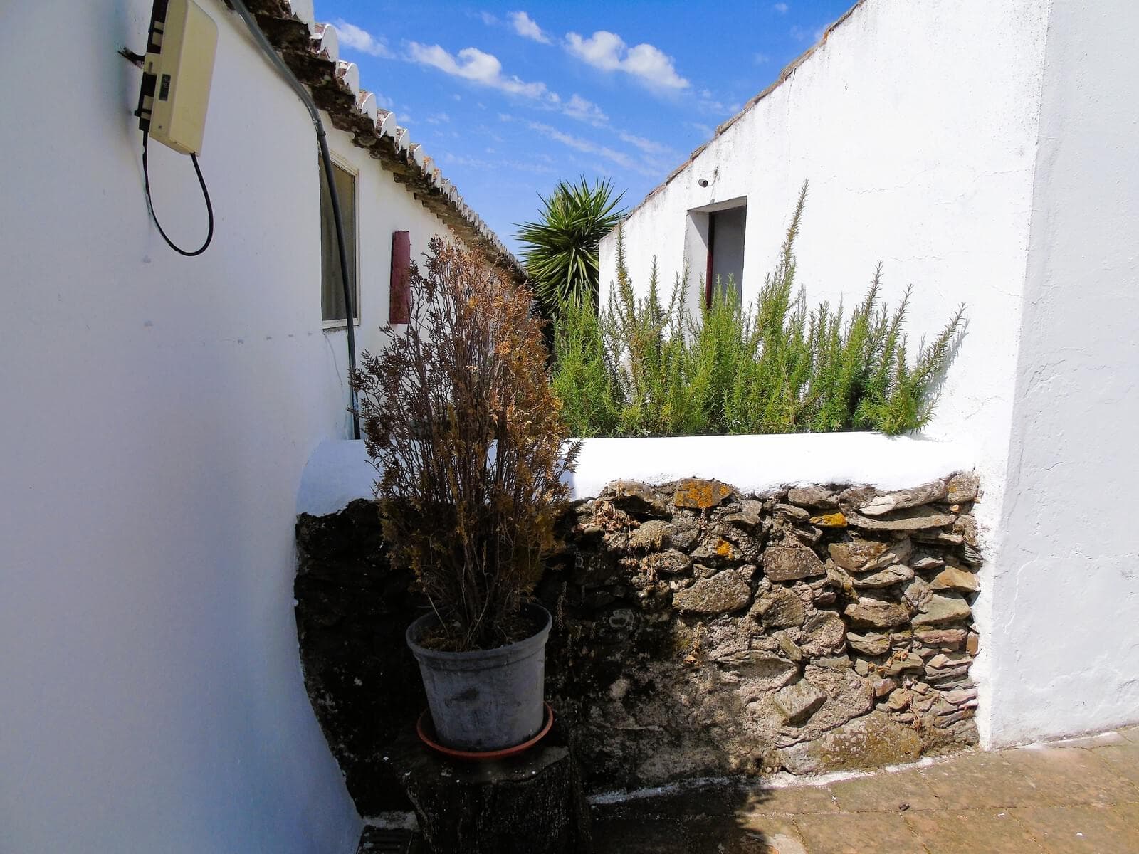 Herdade 106.0 ha, Elvas - Imagem 53