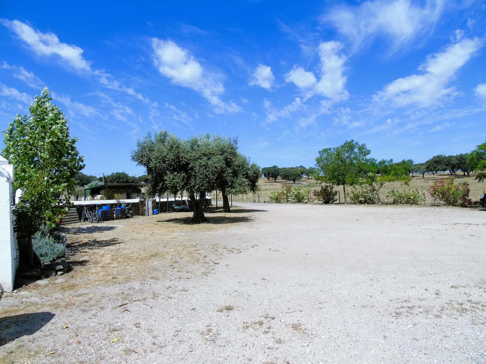 Herdade 106.0 ha, Elvas - Imagem 74