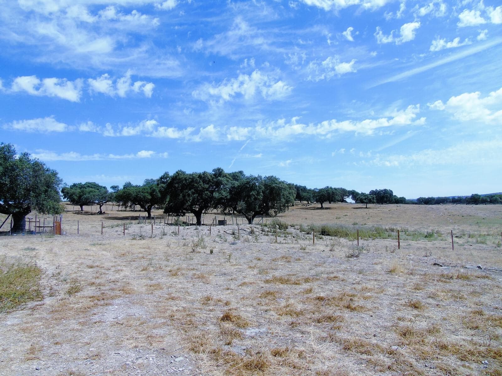 Herdade 106.0 ha, Elvas - Imagem 71