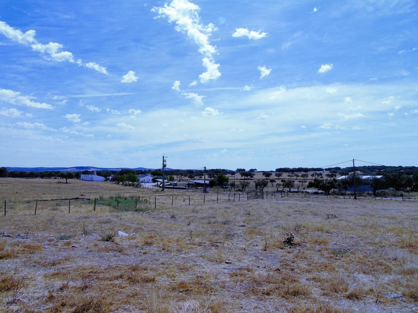 Herdade 106.0 ha, Elvas - Imagem 72