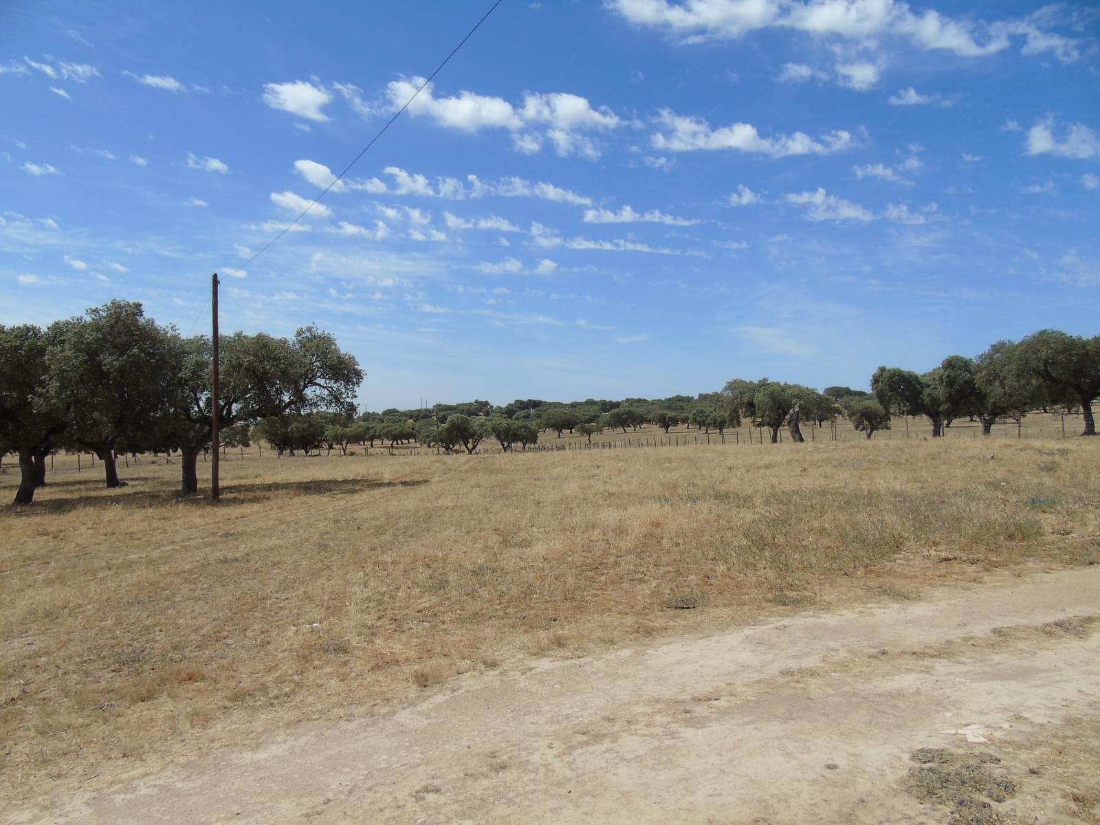 Herdade 106.0 ha, Elvas - Imagem 68
