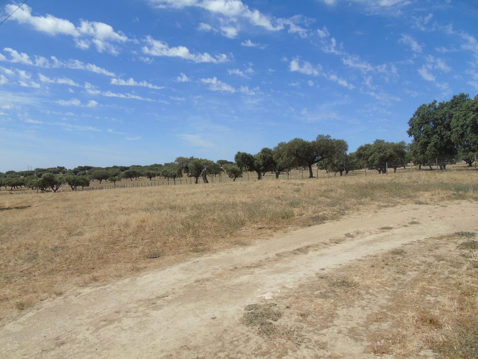 Herdade 106.0 ha, Elvas - Imagem 67