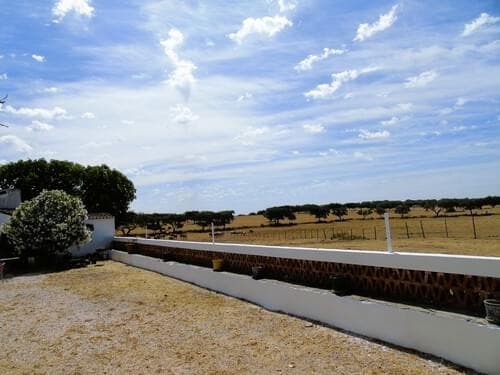 PF30713 - Herdade 106.0 ha, Elvas - Imagem 81