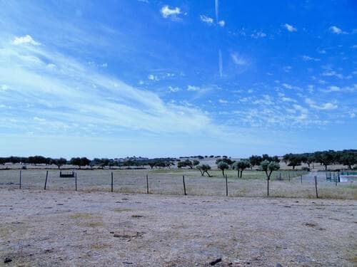 PF30713 - Herdade 106.0 ha, Elvas - Imagem 73