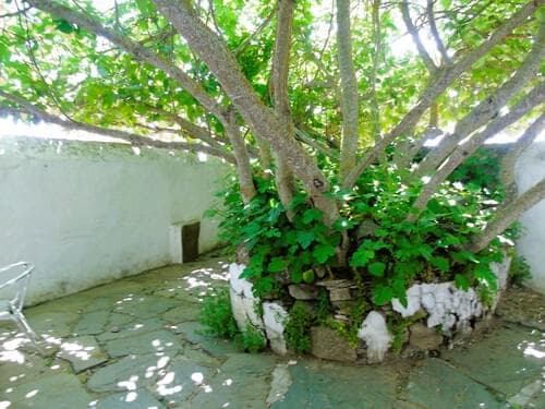PF30713 - Herdade 106.0 ha, Elvas - Imagem 51