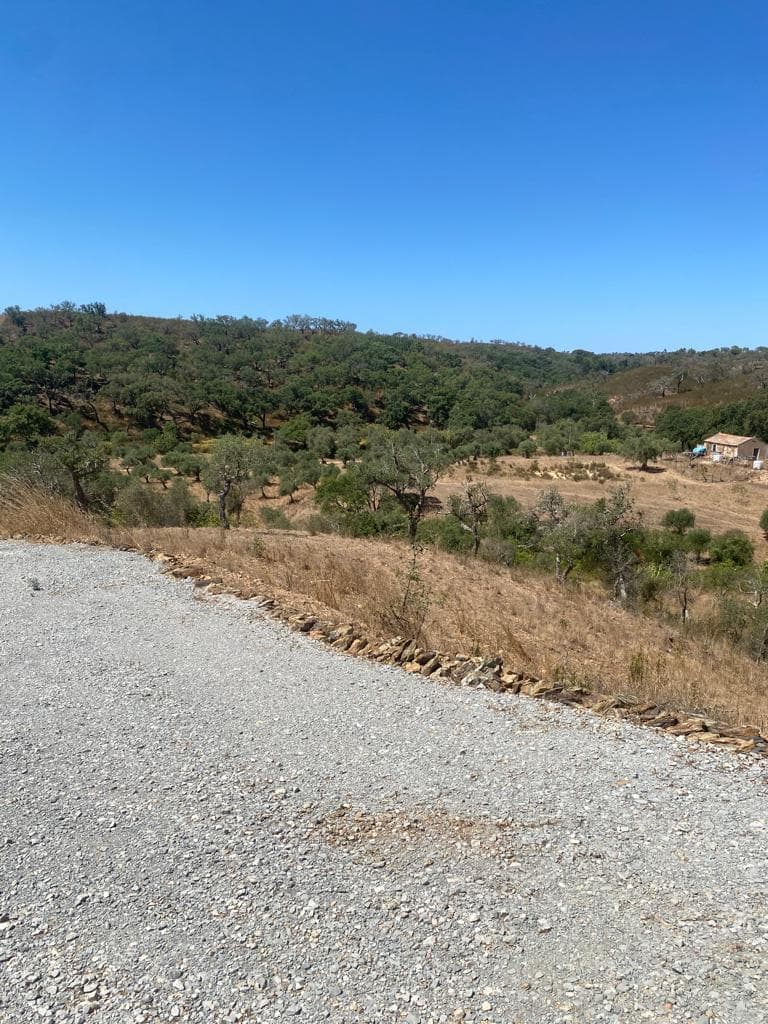 Terreno Rústico 5.8 ha, São Bartolomeu da Serra, Santiago do Cacem - Imagem 18