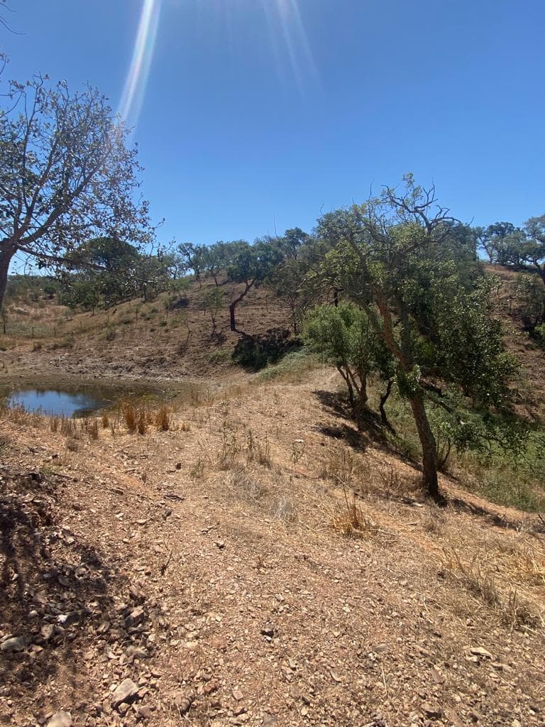 Terreno Rústico 5.8 ha, São Bartolomeu da Serra, Santiago do Cacem - Imagem 21