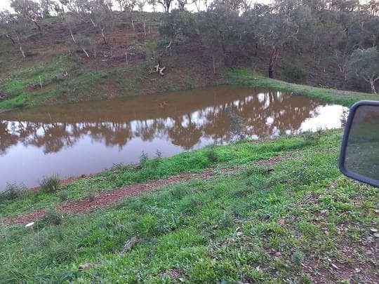 Terreno Rústico 5.8 ha, São Bartolomeu da Serra, Santiago do Cacem - Imagem 22