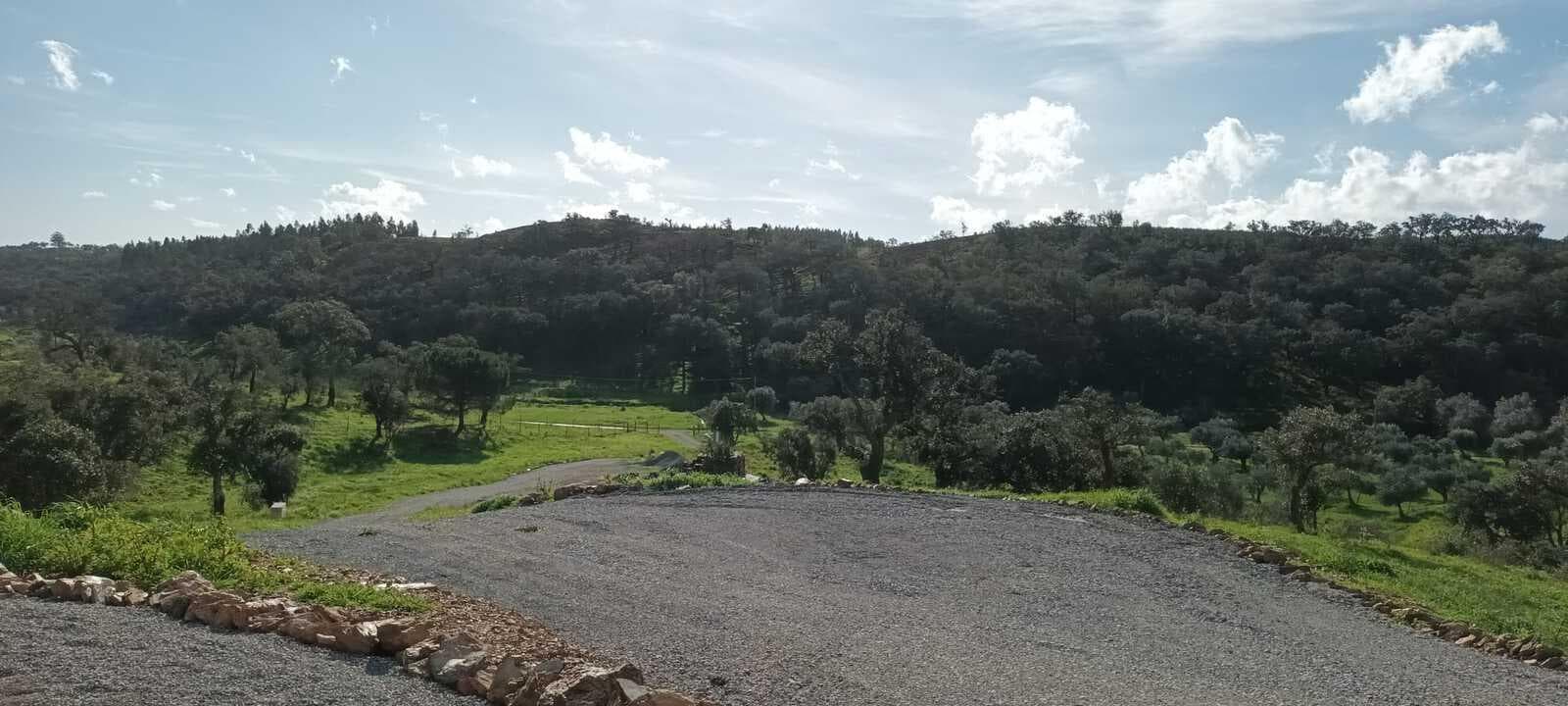 Terreno Rústico 5.8 ha, São Bartolomeu da Serra, Santiago do Cacem - Imagem 5