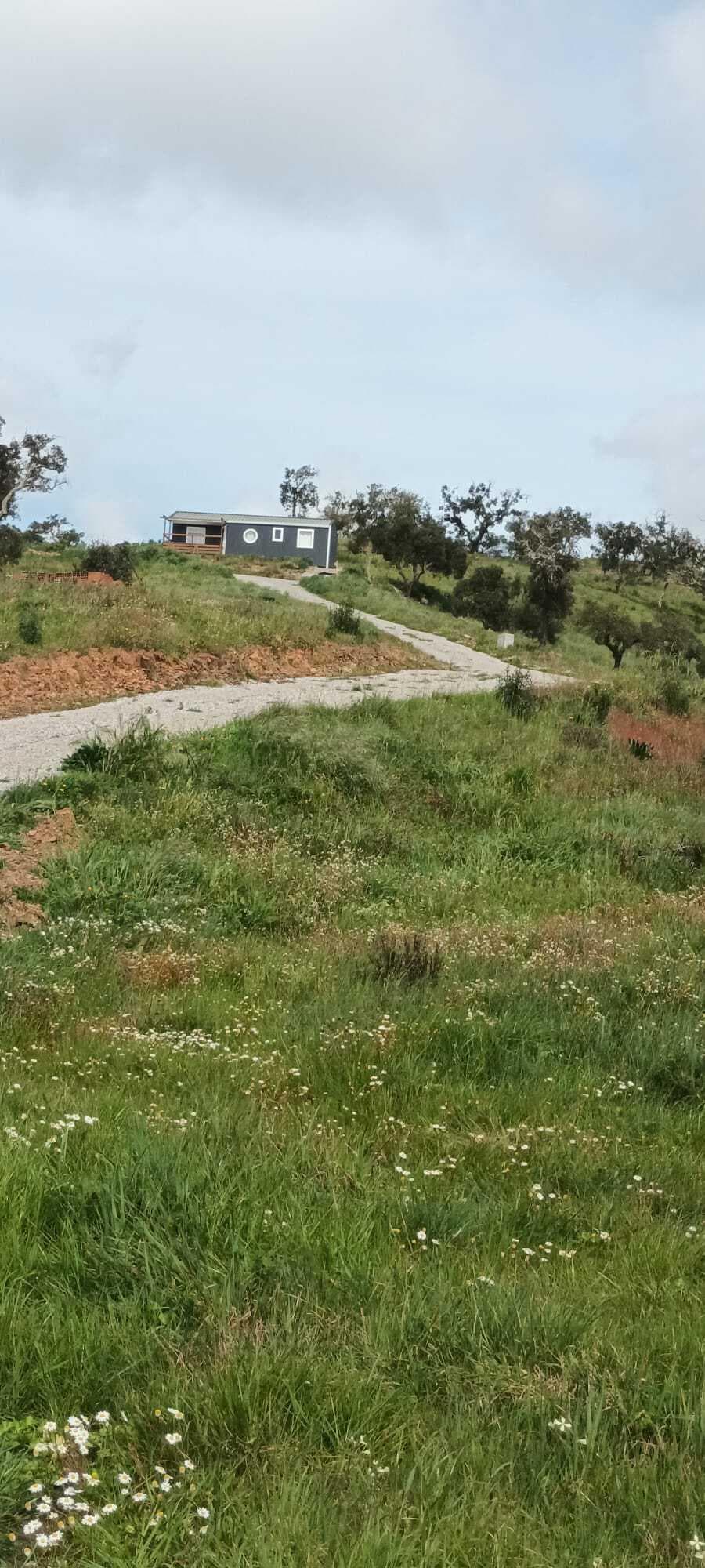 Terreno Rústico 5.8 ha, São Bartolomeu da Serra, Santiago do Cacem - Imagem 4