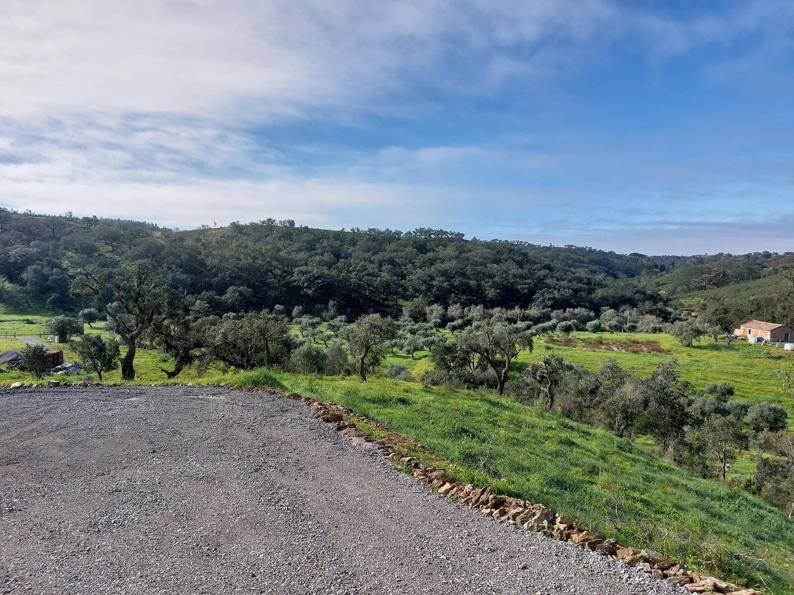Terreno Rústico 5.8 ha, São Bartolomeu da Serra, Santiago do Cacem - Imagem 1