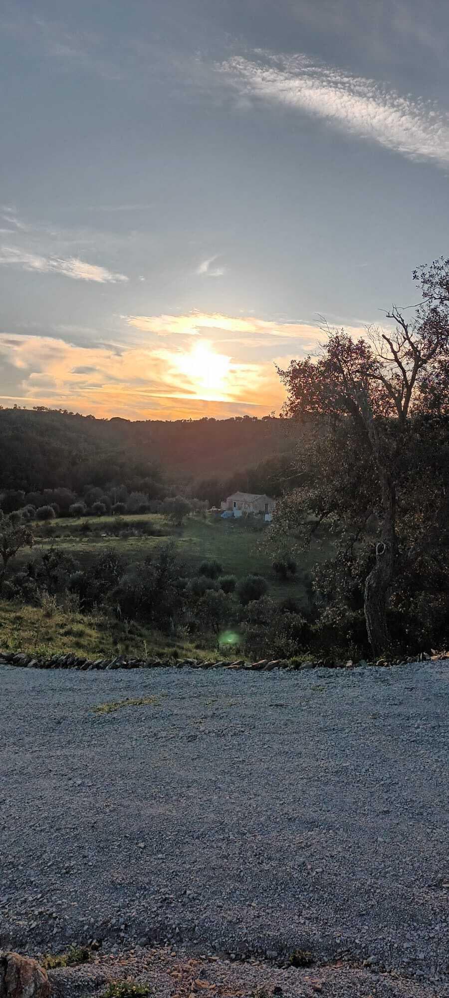 Terreno Rústico 5.8 ha, São Bartolomeu da Serra, Santiago do Cacem - Imagem 16