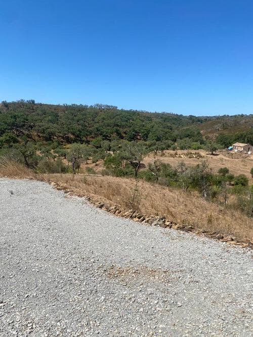 PF31165 - Terreno Rústico 5.8 ha, São Bartolomeu da Serra, Santiago do Cacem - Imagem 18