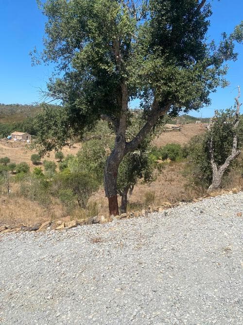 PF31165 - Terreno Rústico 5.8 ha, São Bartolomeu da Serra, Santiago do Cacem - Imagem 17