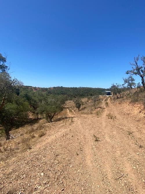 PF31165 - Terreno Rústico 5.8 ha, São Bartolomeu da Serra, Santiago do Cacem - Imagem 28