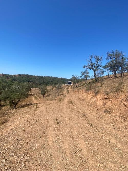 PF31165 - Terreno Rústico 5.8 ha, São Bartolomeu da Serra, Santiago do Cacem - Imagem 24