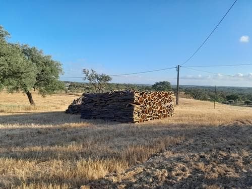 PF31165 - Terreno Rústico 5.8 ha, São Bartolomeu da Serra, Santiago do Cacem - Imagem 23