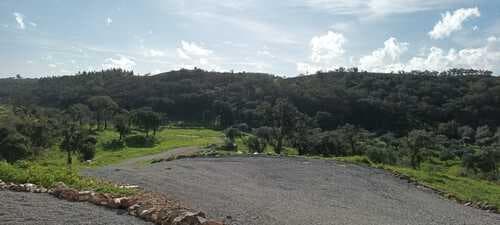 PF31165 - Terreno Rústico 5.8 ha, São Bartolomeu da Serra, Santiago do Cacem - Imagem 5