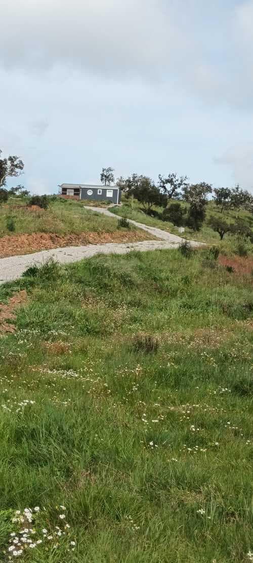 PF31165 - Terreno Rústico 5.8 ha, São Bartolomeu da Serra, Santiago do Cacem - Imagem 4