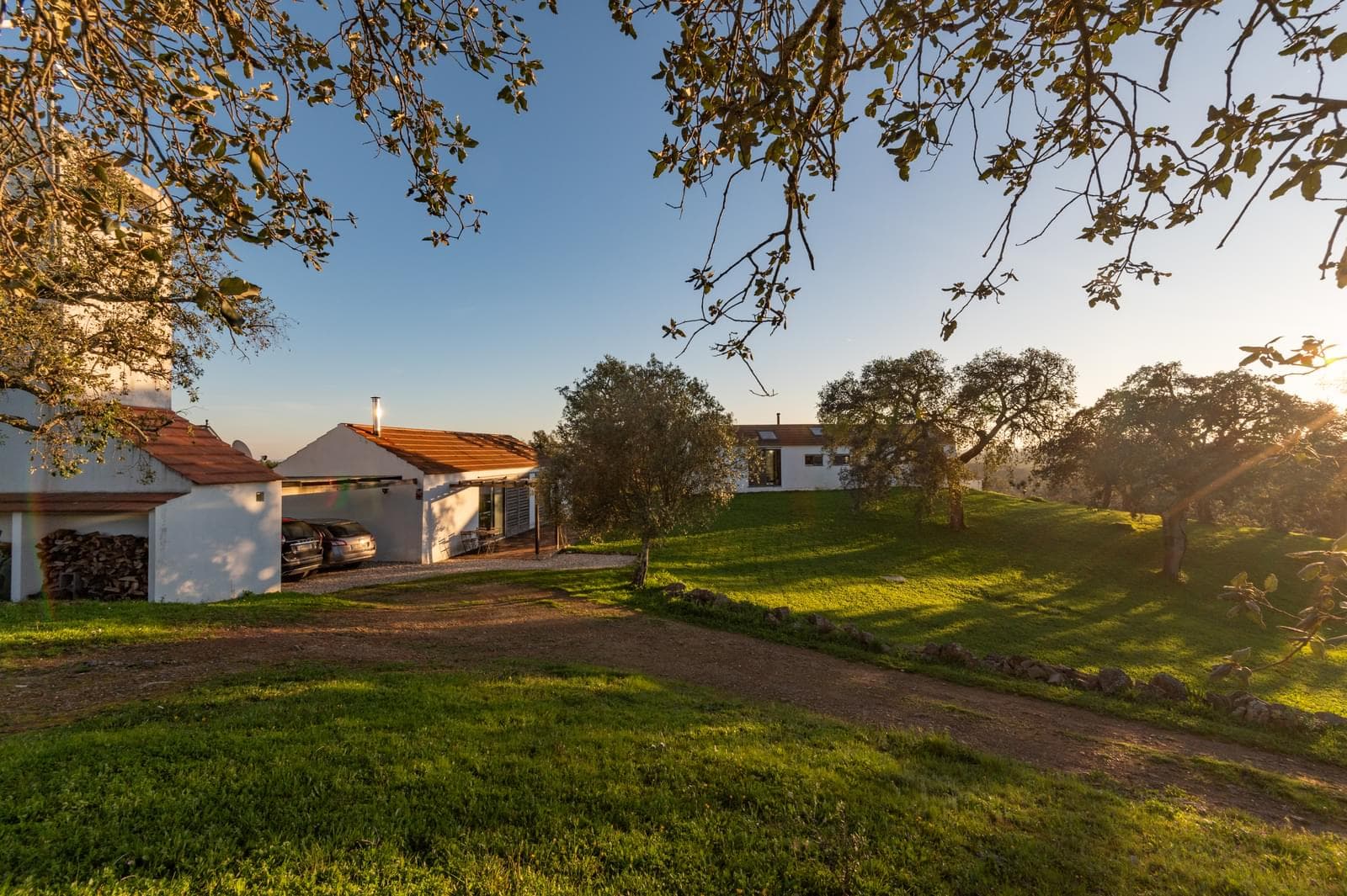 Quinta 6.9 ha, São Francisco da Serra, Santiago do Cacem - Imagem 3