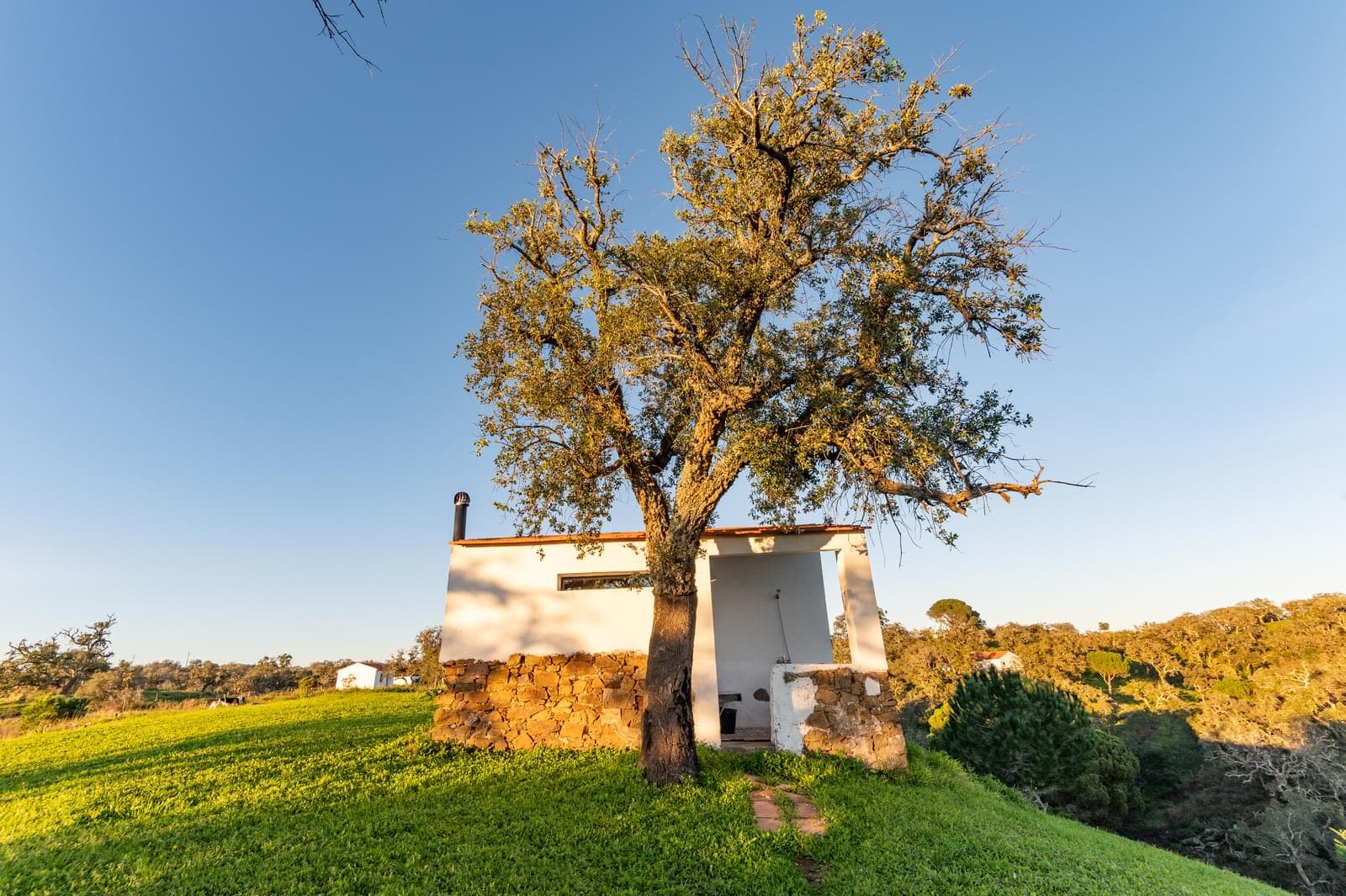 Quinta 6.9 ha, São Francisco da Serra, Santiago do Cacem - Imagem 34