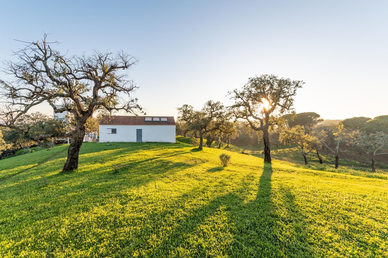 Quinta 6.9 ha, São Francisco da Serra, Santiago do Cacem - Imagem 31
