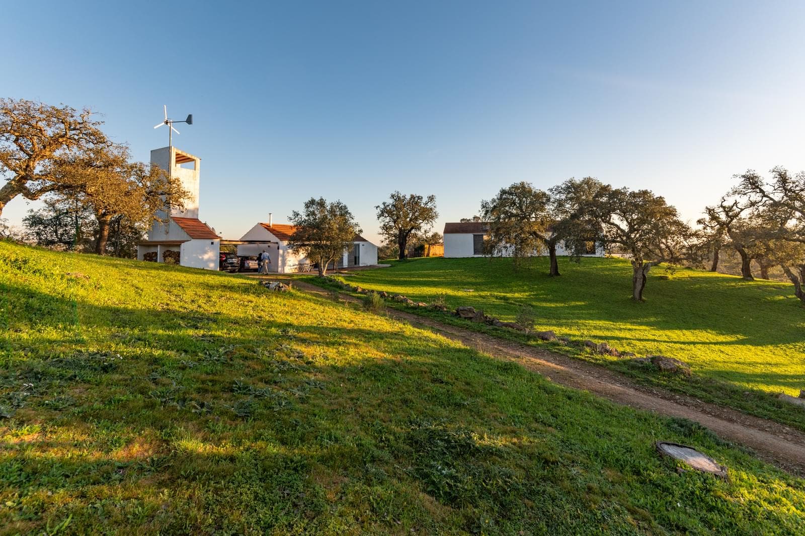 Quinta 6.9 ha, São Francisco da Serra, Santiago do Cacem - Imagem 2