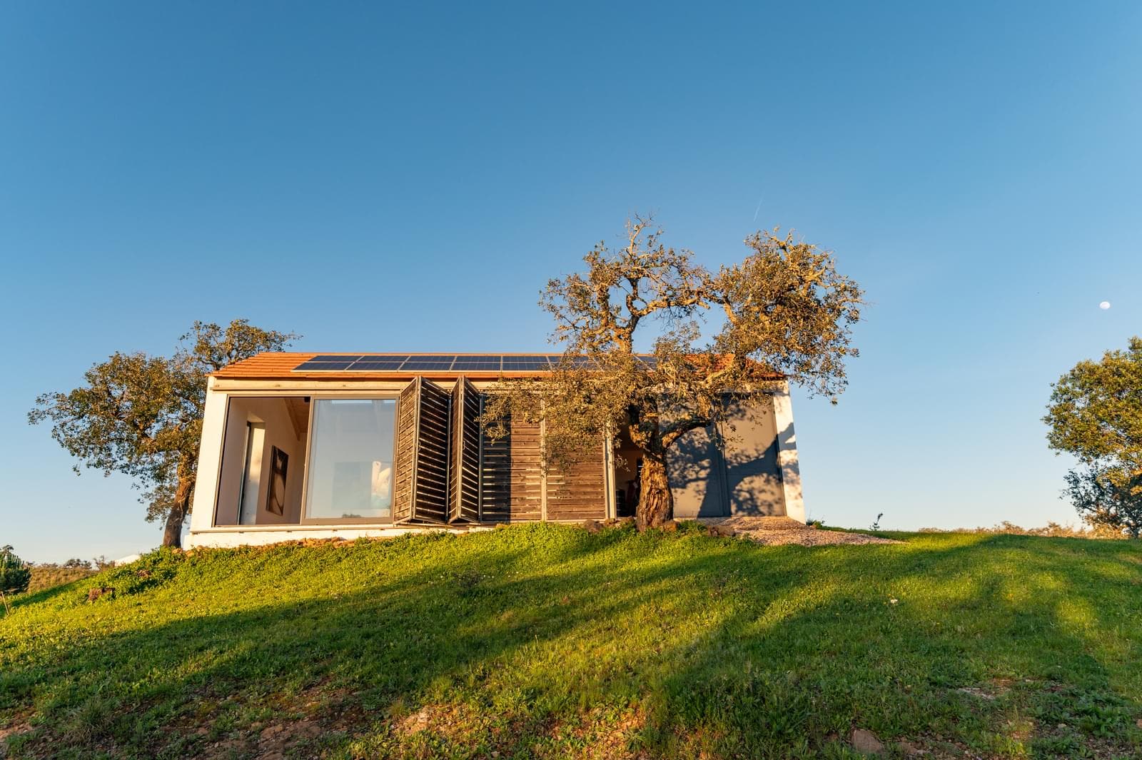 Quinta 6.9 ha, São Francisco da Serra, Santiago do Cacem - Imagem 30