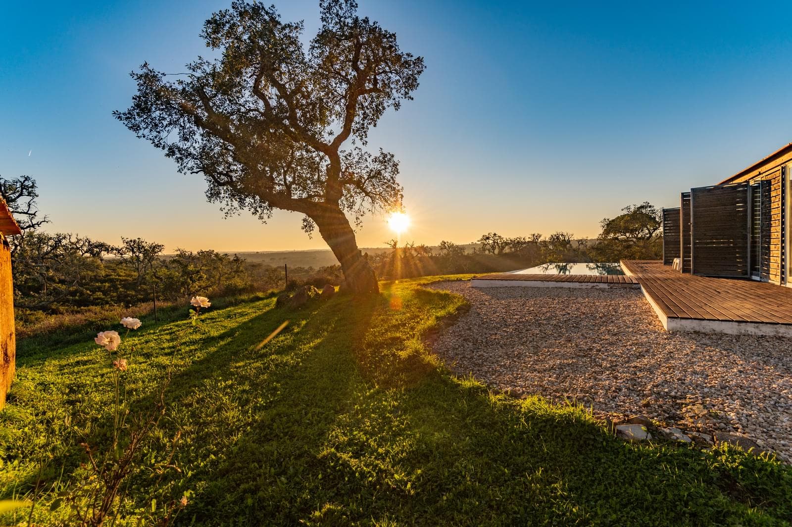 Quinta 6.9 ha, São Francisco da Serra, Santiago do Cacem - Imagem 21