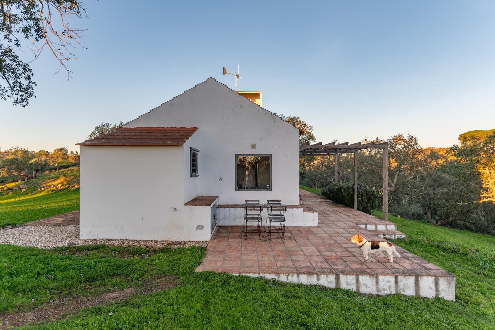 Quinta 6.9 ha, São Francisco da Serra, Santiago do Cacem - Imagem 22