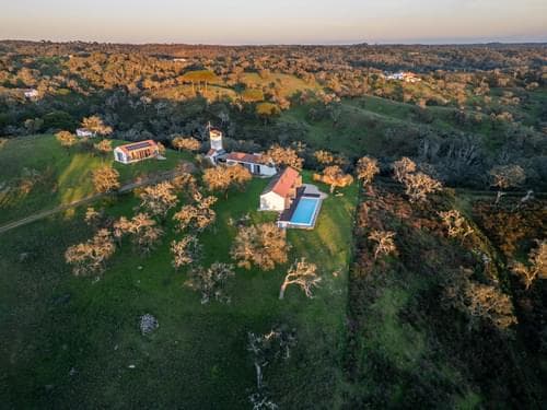 PF31698 - Ferme 6.9 ha, São Francisco da Serra, Santiago do Cacem - Image 44