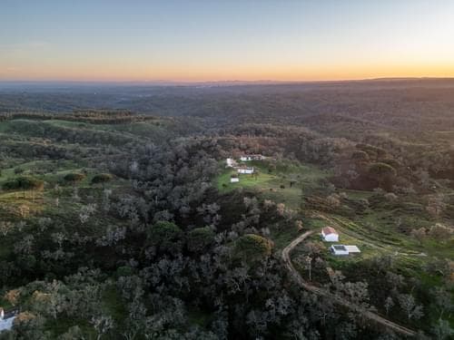 PF31698 - Ferme 6.9 ha, São Francisco da Serra, Santiago do Cacem - Image 45