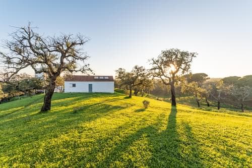 PF31698 - Ferme 6.9 ha, São Francisco da Serra, Santiago do Cacem - Image 31