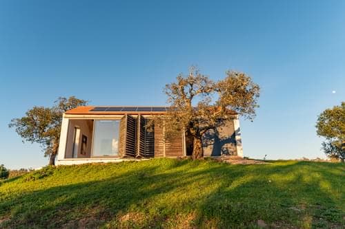 PF31698 - Ferme 6.9 ha, São Francisco da Serra, Santiago do Cacem - Image 30