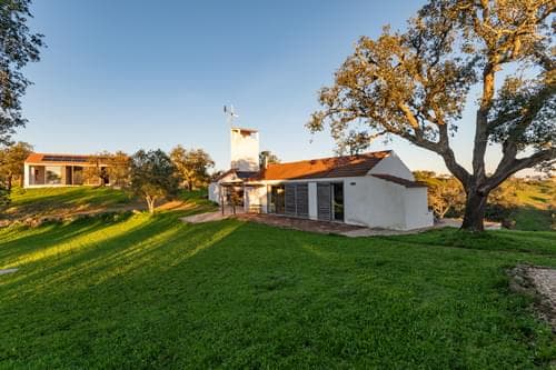 PF31698 - Ferme 6.9 ha, São Francisco da Serra, Santiago do Cacem - Image 4