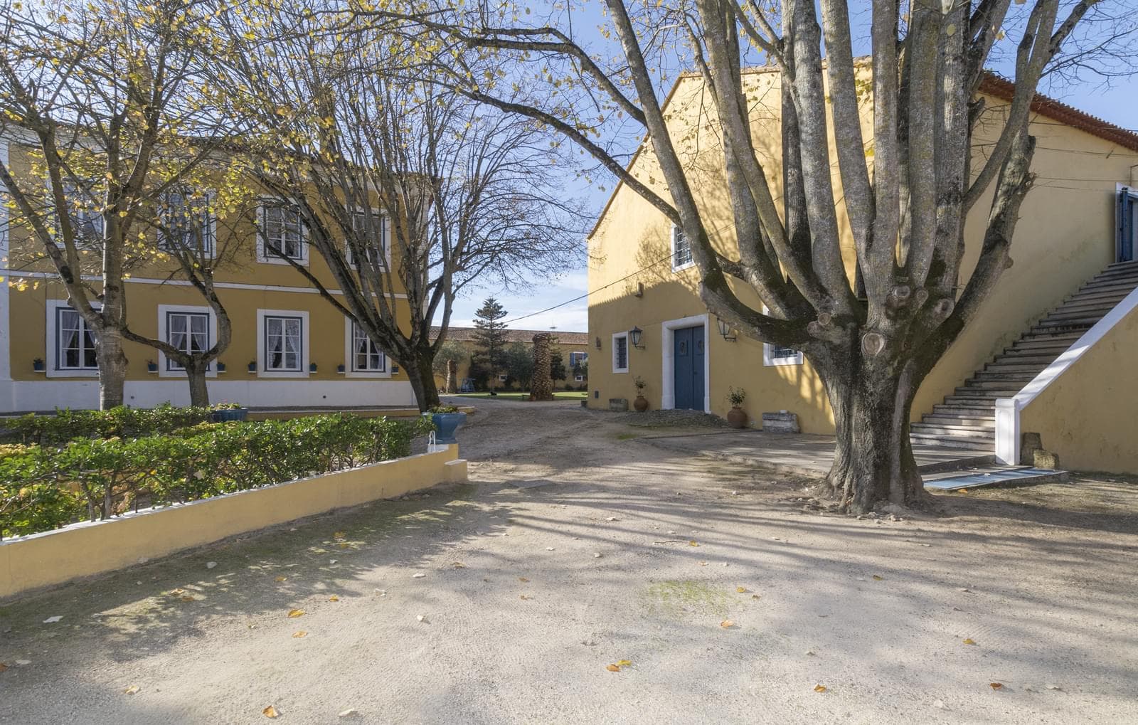 Homestead 6.4 ha, Nazaré - Image 11