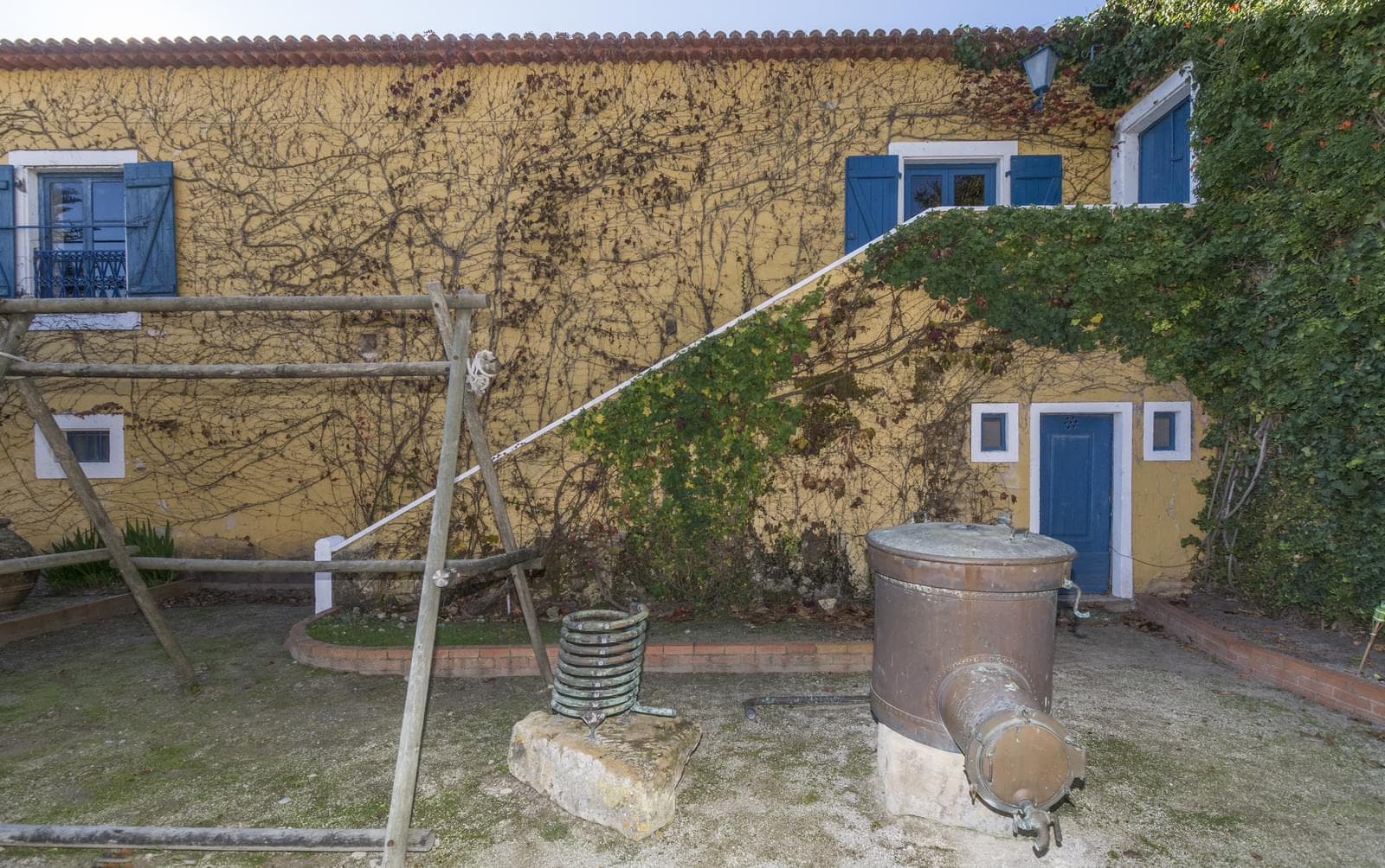 Homestead 6.4 ha, Nazaré - Image 18